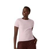 Women's Pima Cotton Slim Crew Neck T-Shirt 6-Pack
